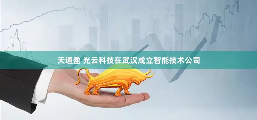 天通盈 光云科技在武汉成立智能技术公司