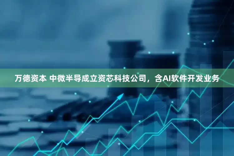 万德资本 中微半导成立资芯科技公司，含AI软件开发业务