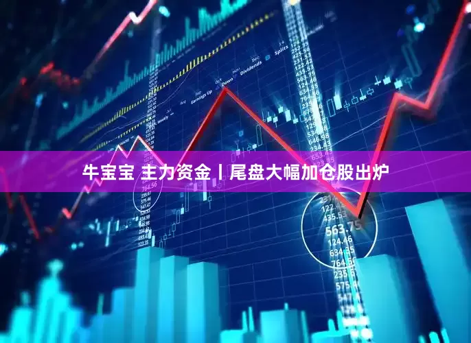 牛宝宝 主力资金丨尾盘大幅加仓股出炉